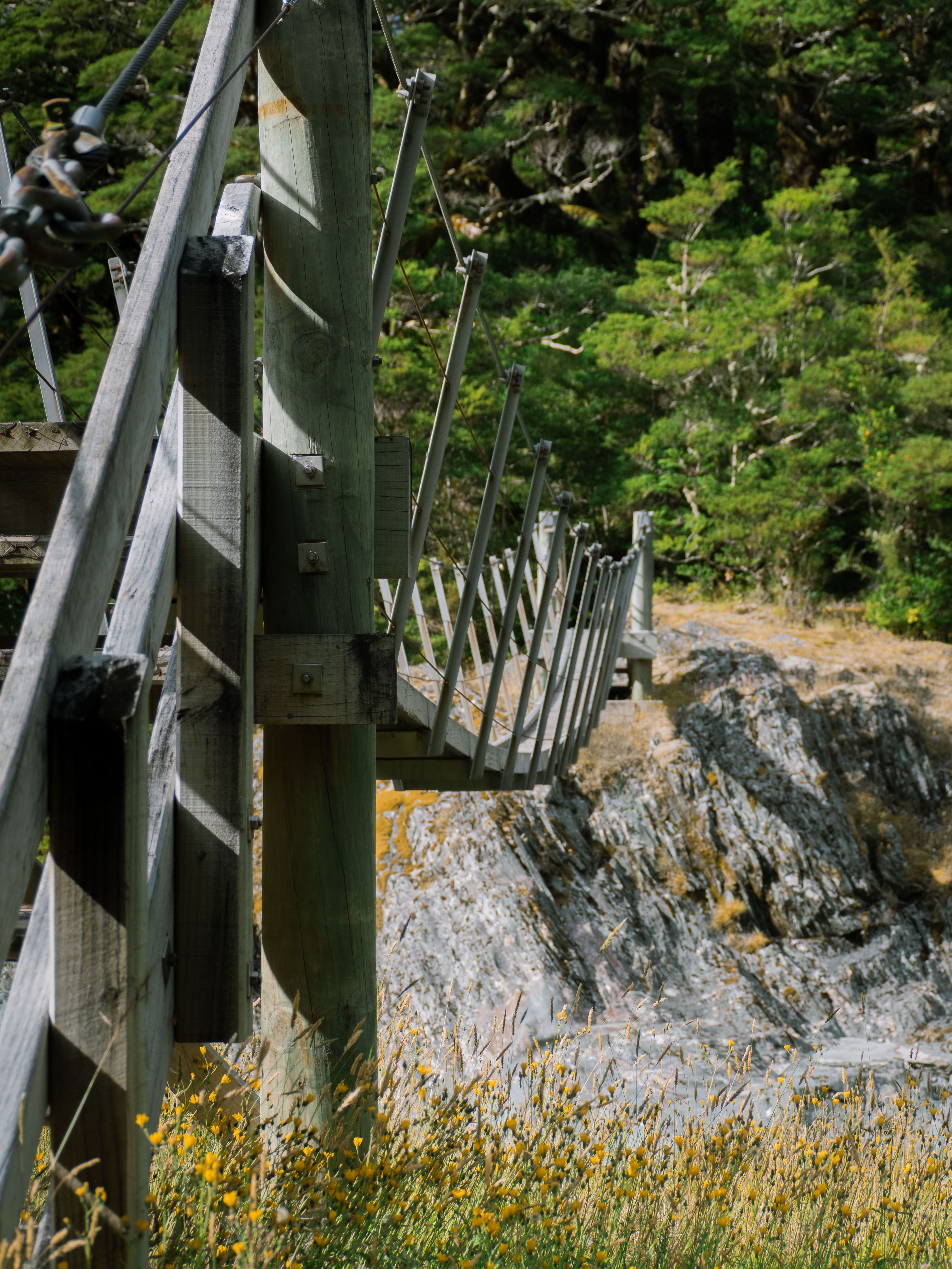 Rustic Wooden Bridge in Lush Forest Setting · Free Stock Photo