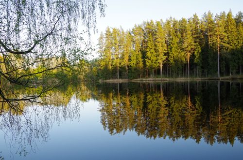 Free Tranquil view of forest reflection by the river in Ogres novads, Latvia. Captured during a clear day. Stock Photo