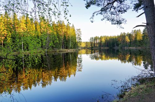 Free Tranquil forest river in Ogres novads, Latvia, reflecting lush green trees under clear sky. Stock Photo