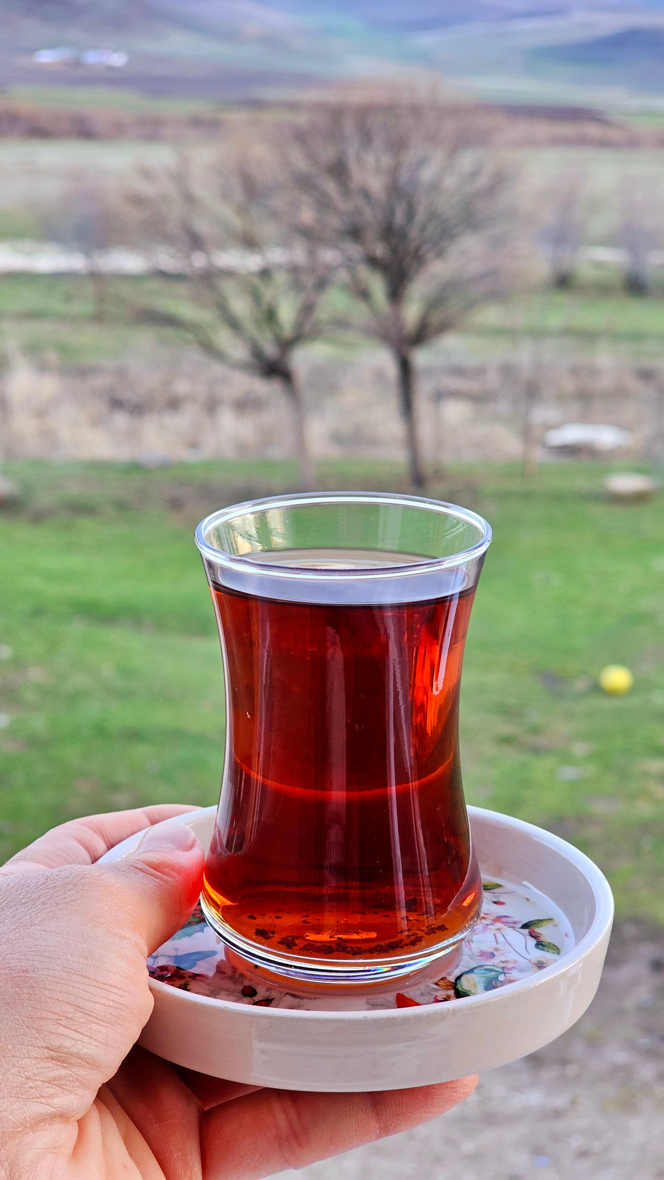 A hand holding a tray with Turkish tea against a serene outdoor landscape.