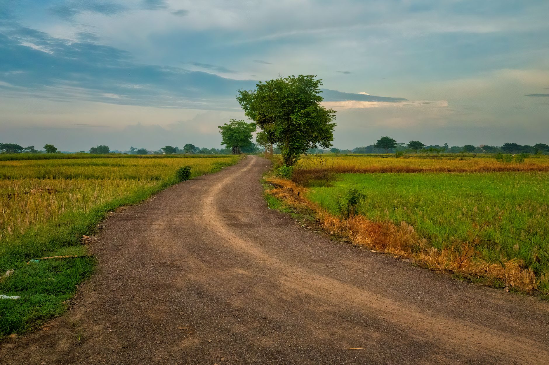 Peaceful rural road amidst lush fields under a blue sky in Jakarta, Indonesia.