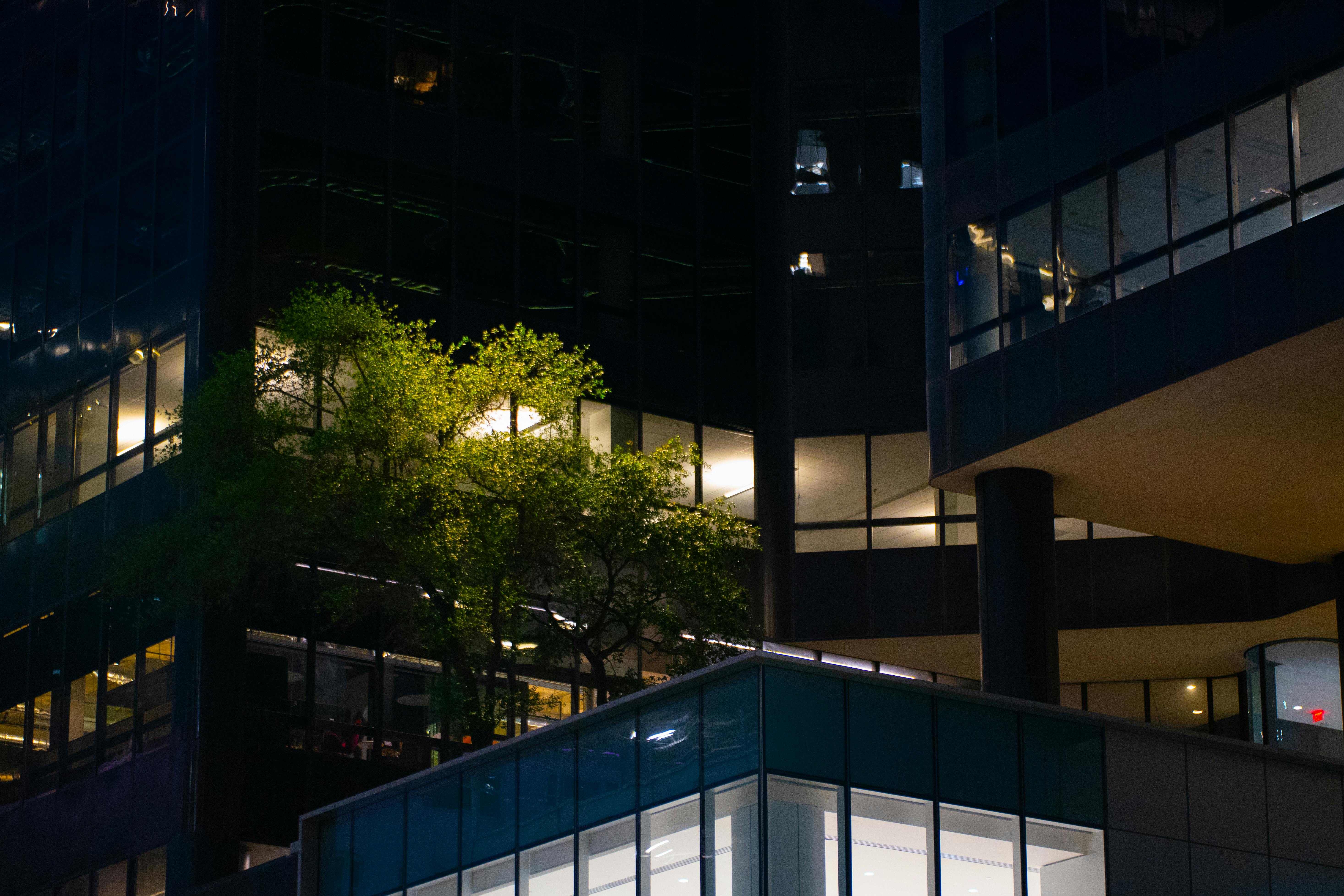As Texas lawmakers tackle health care affordability, discussions turn to insurance costs — Photo by Ian Findley on Pexels