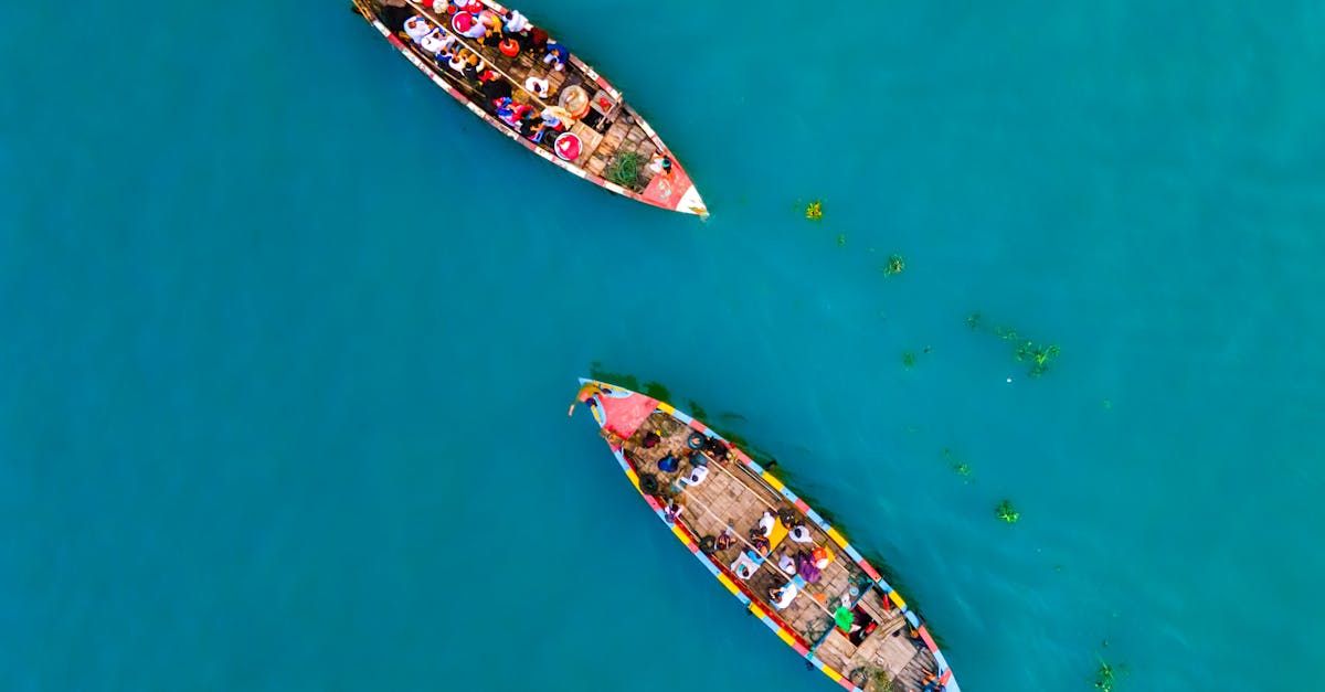 登陽華馥綠捷特區生活區:交通便利的成熟社區