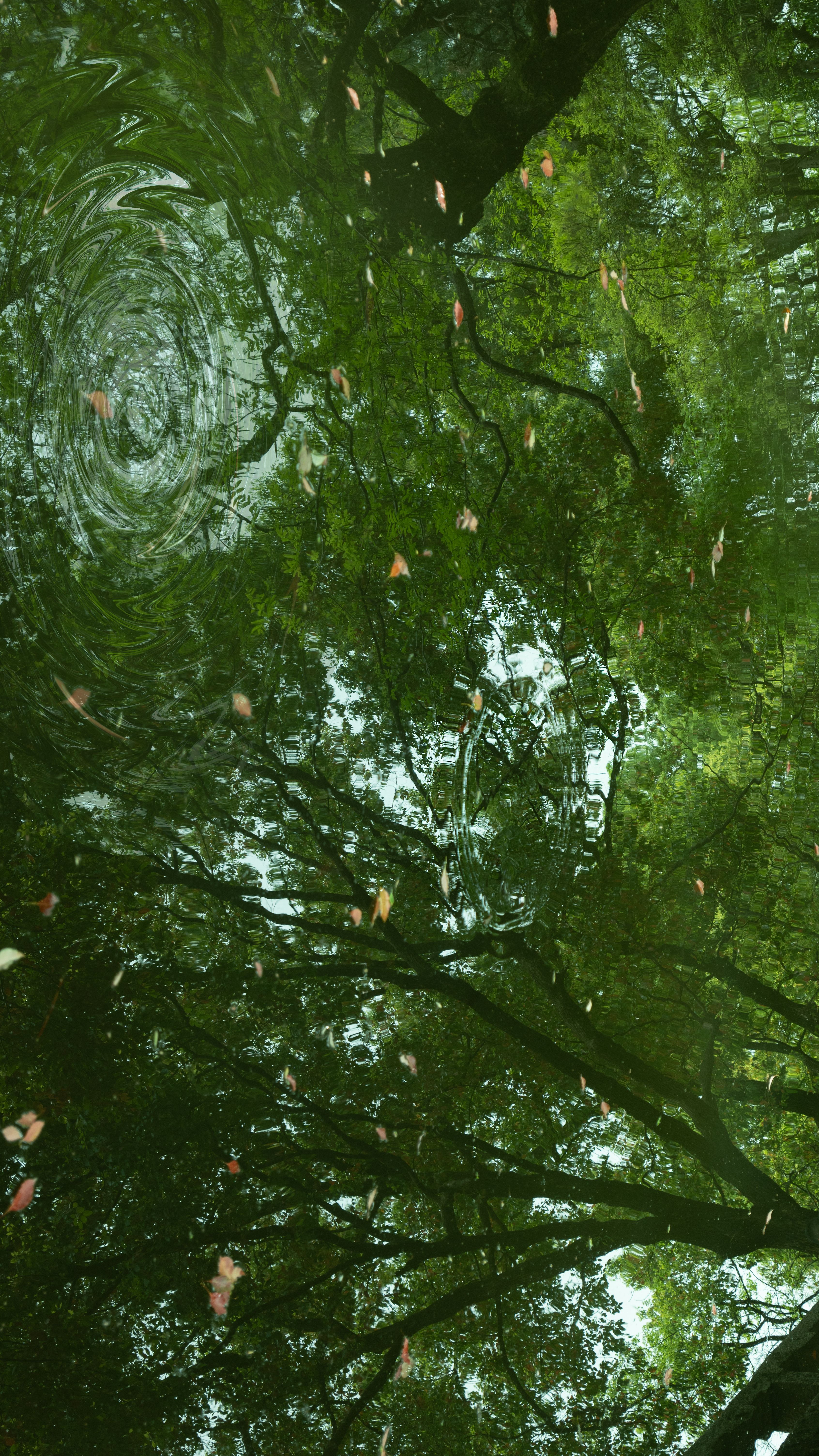 Fotomural Escena pacífica de reflejos de árboles en el agua con hojas dispersas.