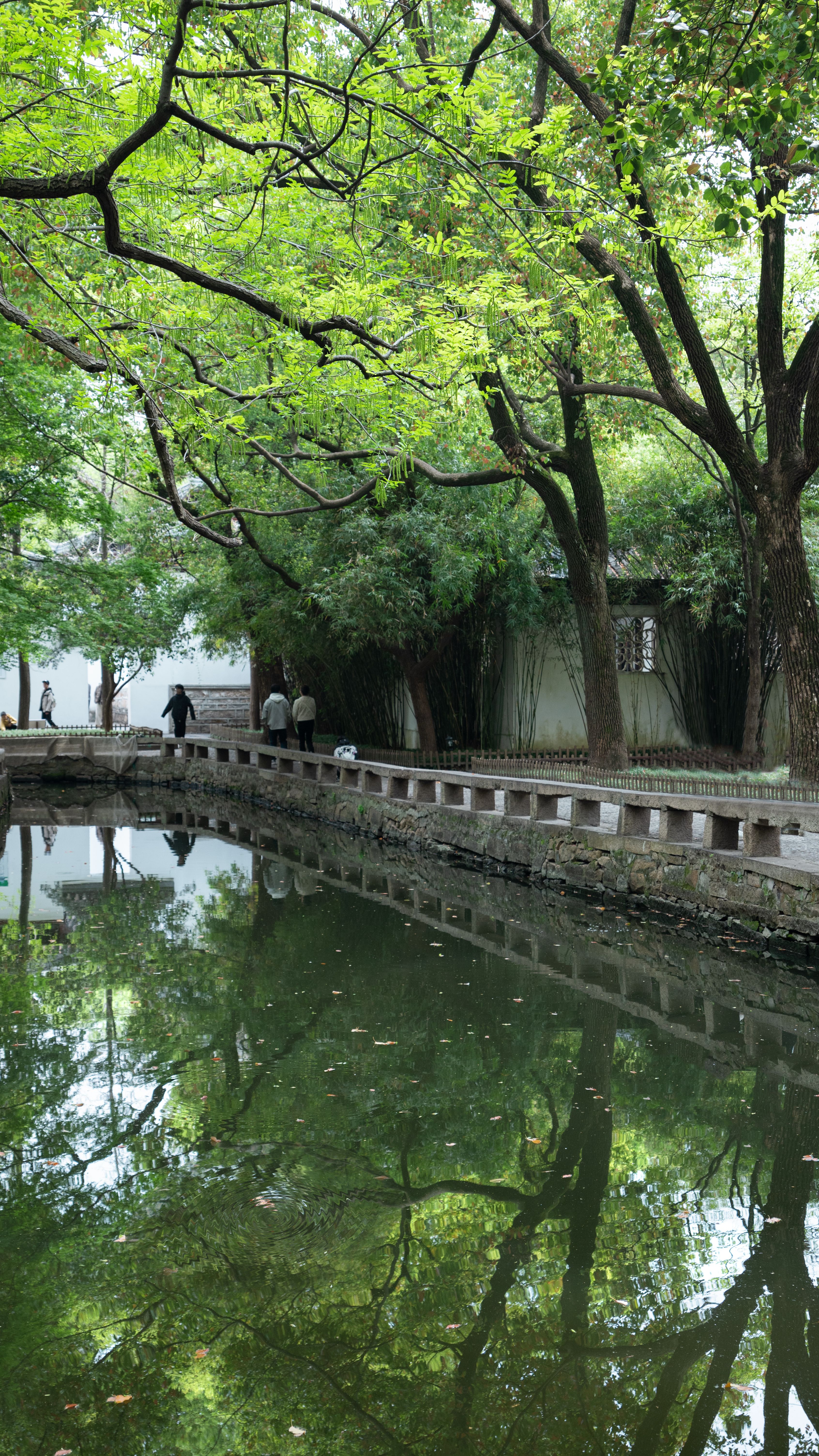 Peaceful park scene with trees and walkway mirrored in a calm water pond, perfect for relaxation.