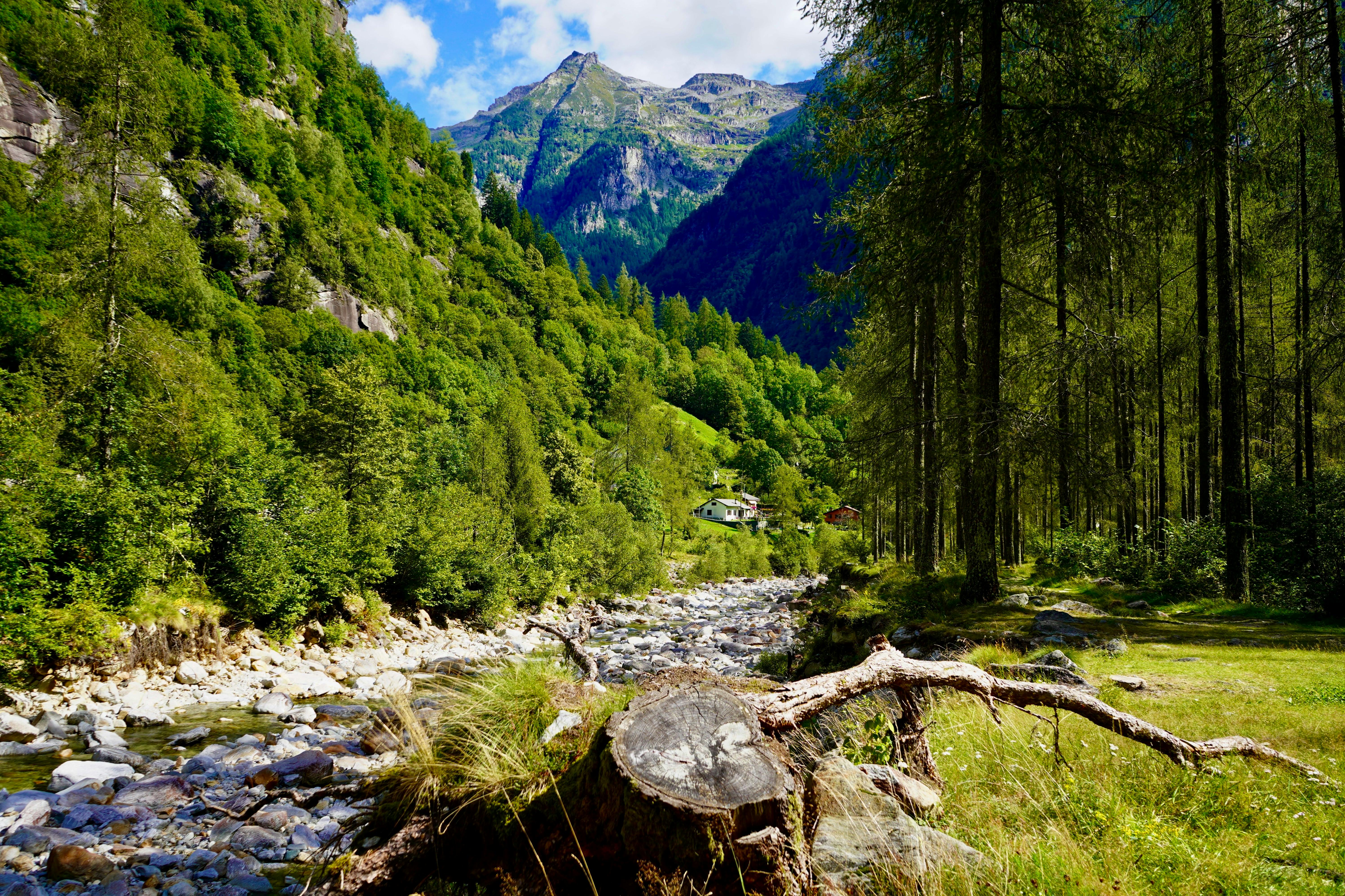 Gorge Yardimcilari Photos Download The BEST Free Gorge Yardimcilari 