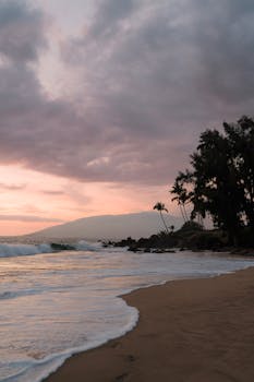 A tranquil beach sunset in Kihei, Hawaii with palm trees and waves crashing on the shore.