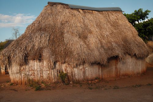 Free A rustic thatch-roof hut in a rural setting under clear skies, ideal for cultural themes. Stock Photo