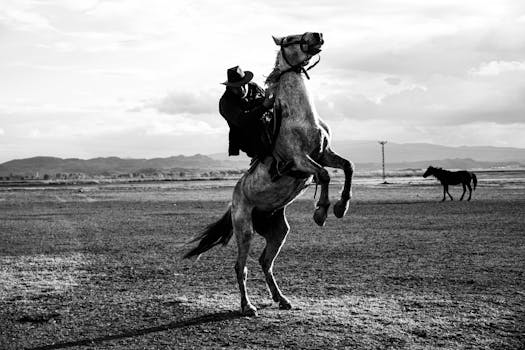 A rider on a rearing horse in striking black and white landscape.