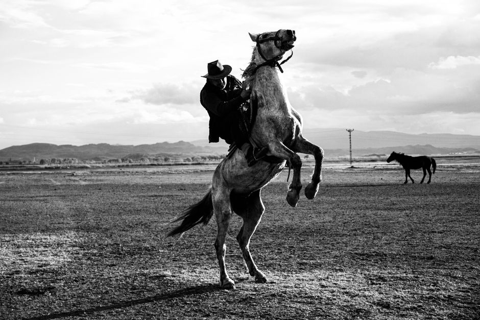 A rider on a rearing horse in striking black and white landscape.