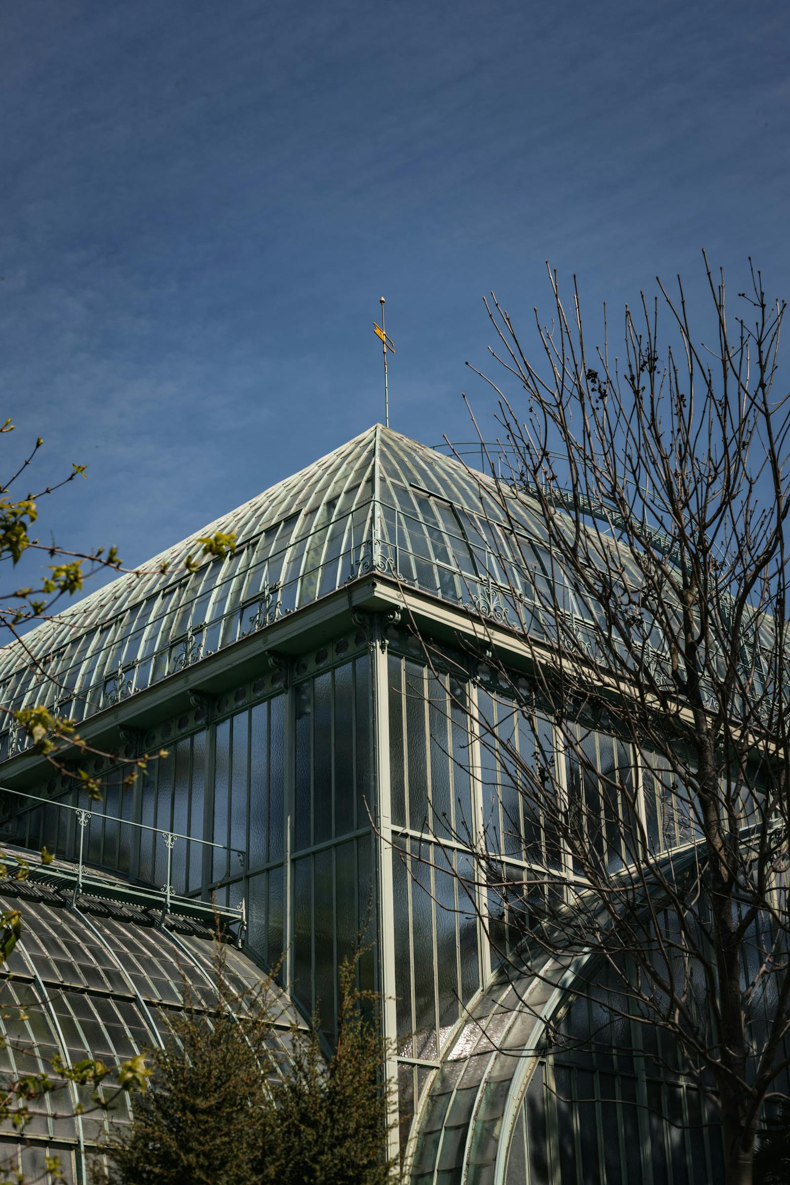 Transparent roof structure