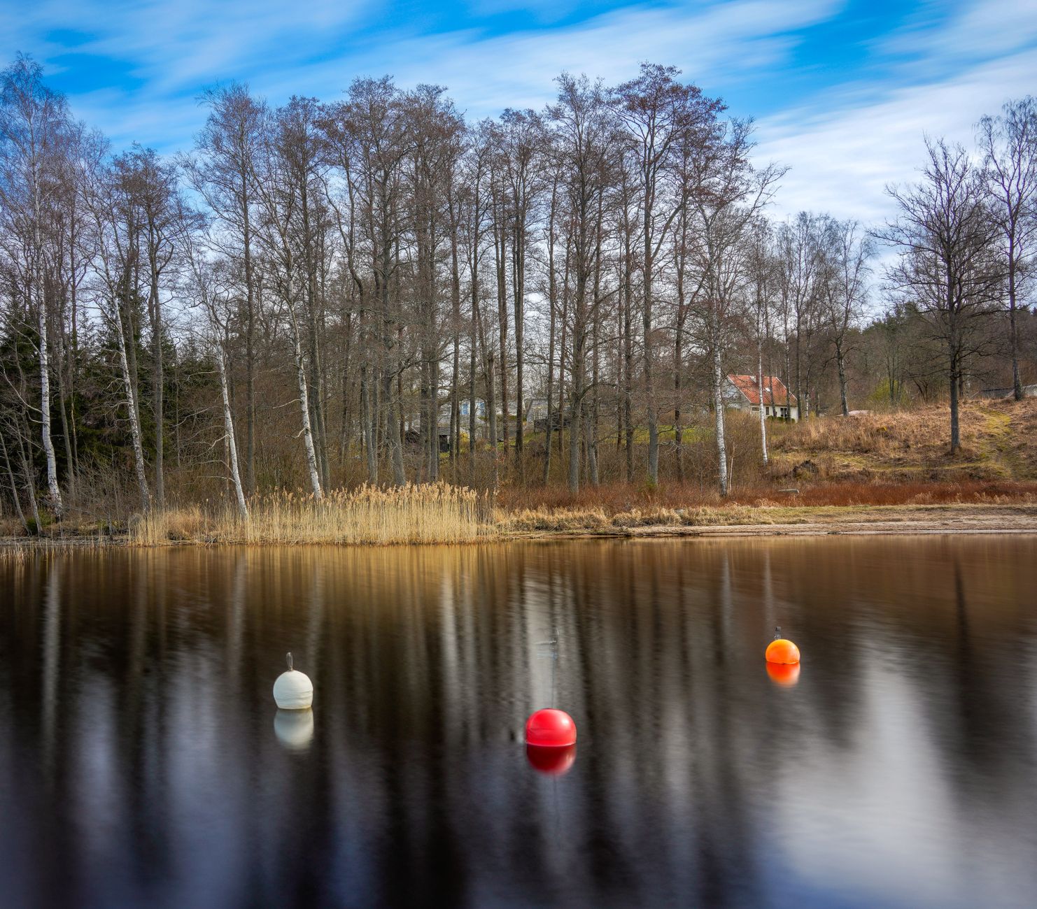Tranquil lake reflecting bare trees and colorful buoys in Jonkoping County.