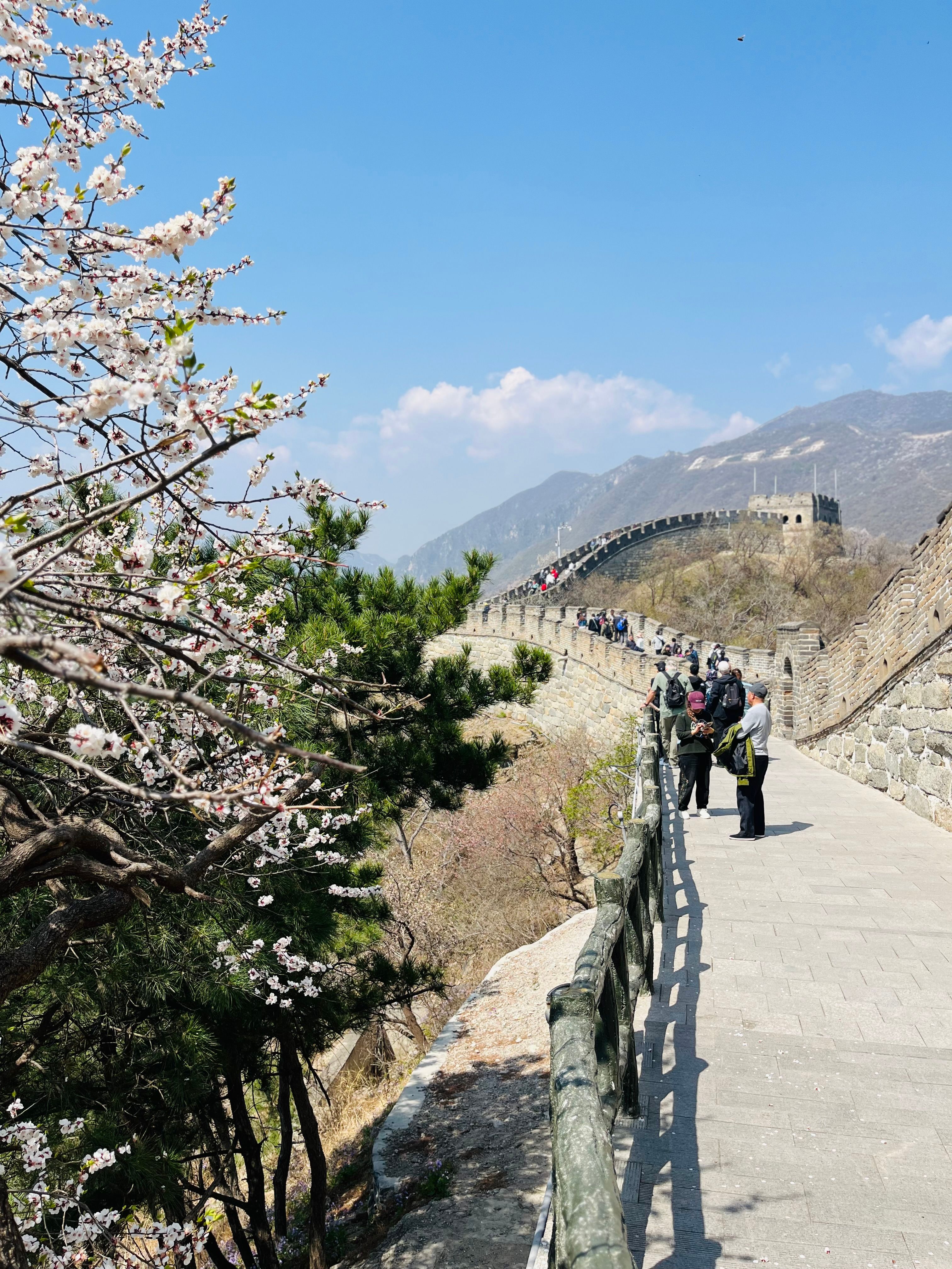 Discovering the Serene Beauty of Xinjiang's Tacheng County