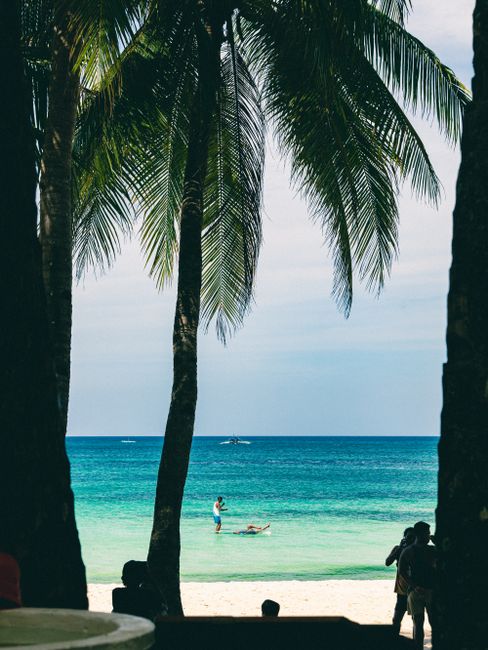 Relaxing tropical beach scene with coconut trees framing vibrant blue ocean in Boracay, Philippines.