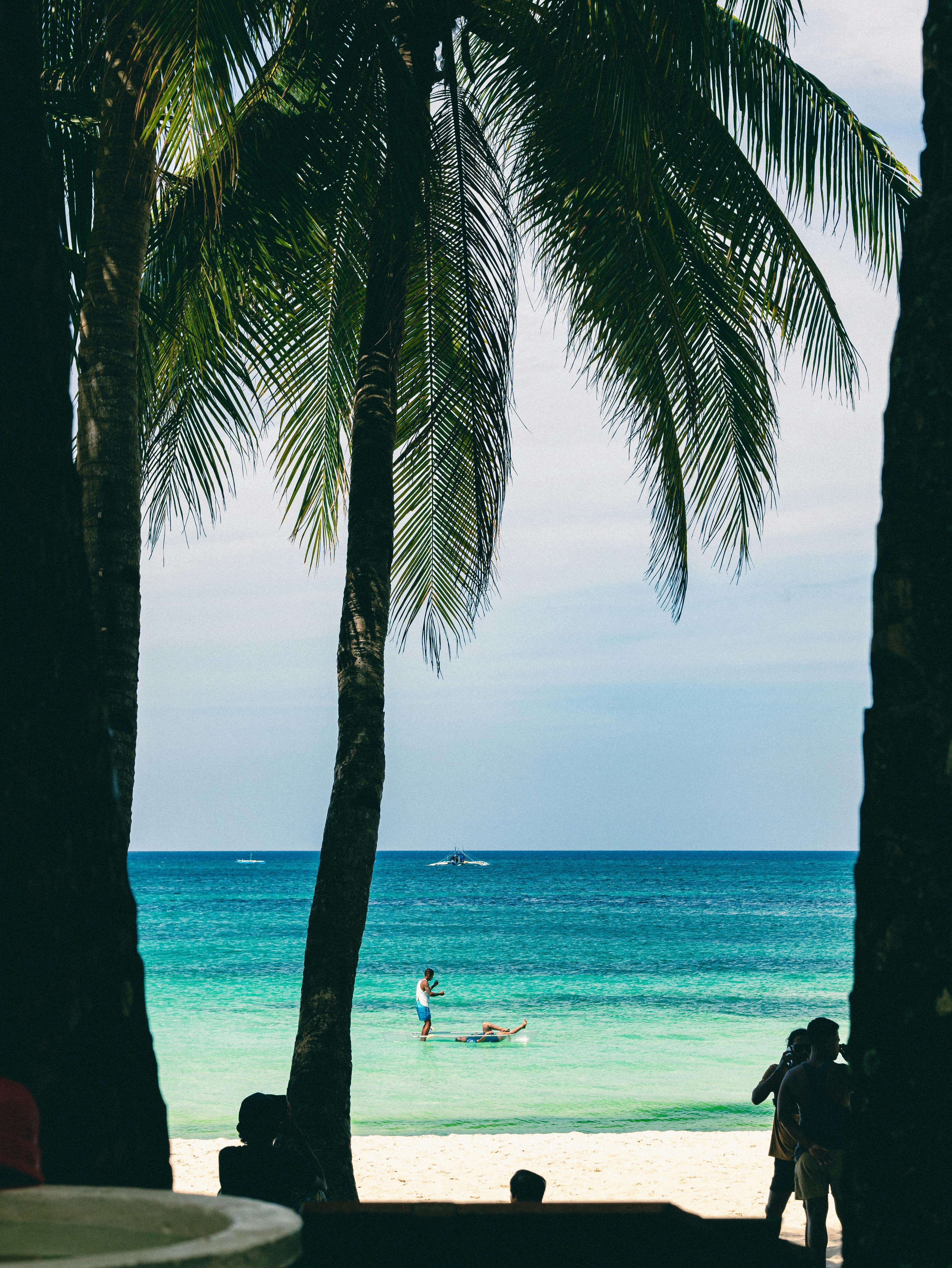 bezplatná Relaxační tropická plážová scéna s kokosovými palmami rámujícími zářivě modrý oceán v Boracay na Filipínách. Základová fotografie