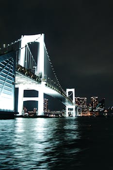 夜晚，彩虹桥与东京天际线被灯光点亮，构成标志性的城市景观