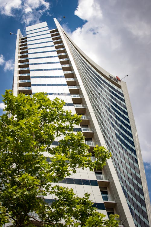 Foto De ángulo Bajo De Un Edificio Alto Cerca De Un árbol De Hojas Verdes