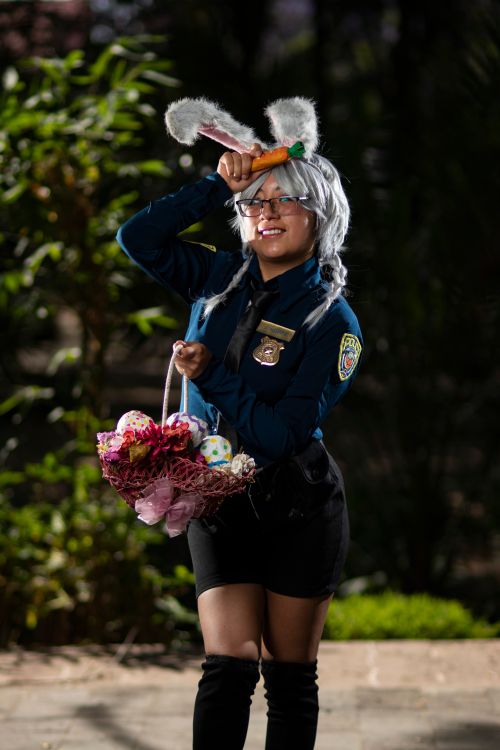 Free A person in cosplay with bunny ears holding a basket of decorative eggs outdoors. Stock Photo