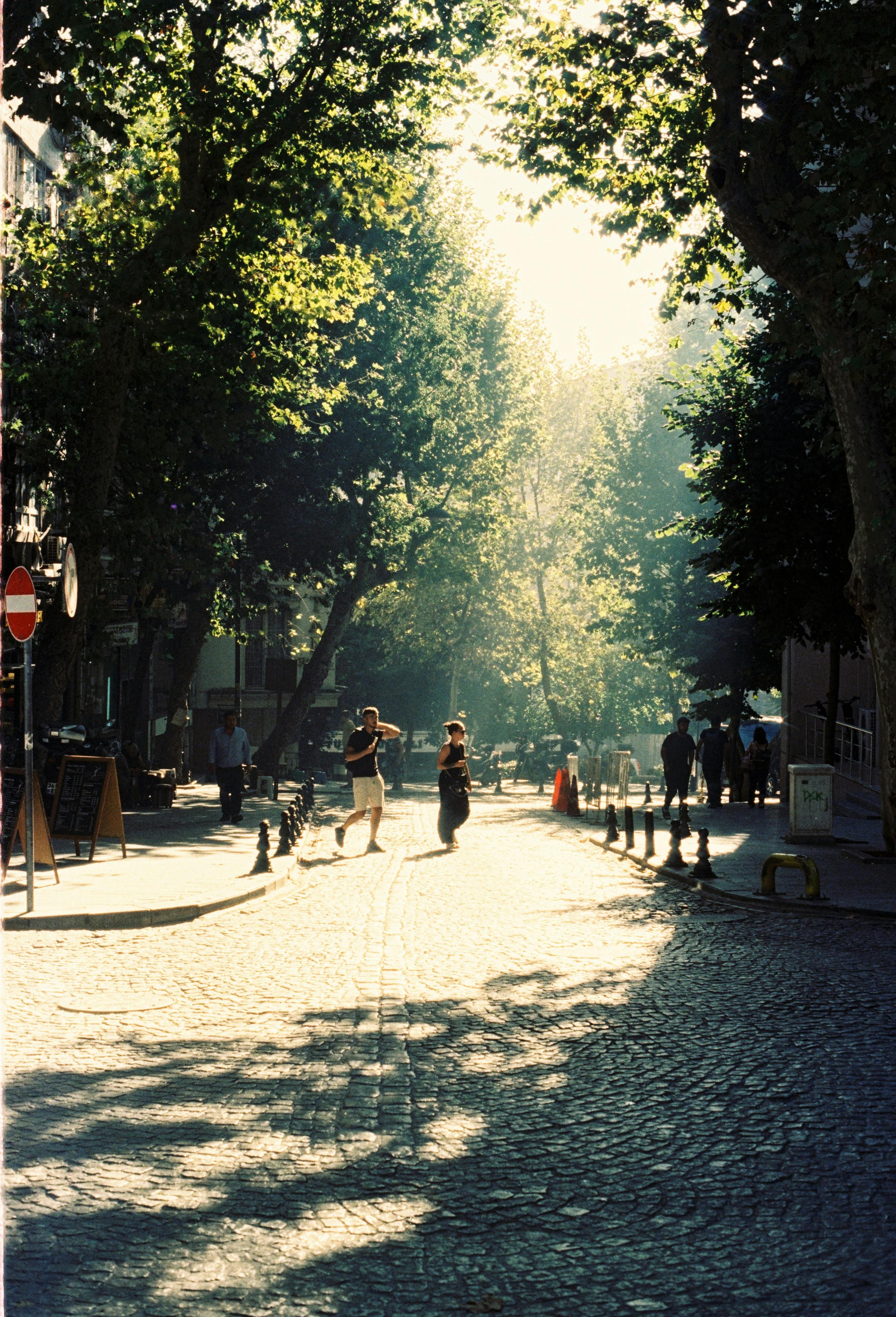 Pedestrians walk down a charming cobblestone street in Istanbul, basking in warm, dappled sunlight.