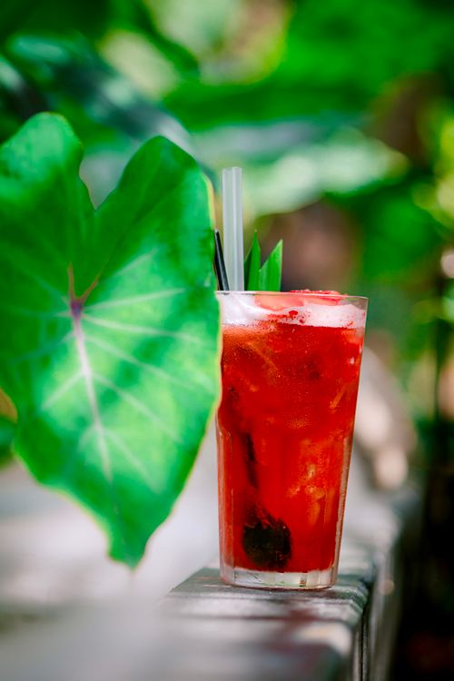 Free Chilled berry drink with ice and straws amidst lush green leaves, exuding a tropical vibe. Stock Photo