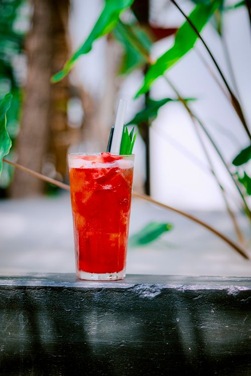 Free Chilled red fruit drink with ice on an outdoor table, surrounded by green plants. Stock Photo