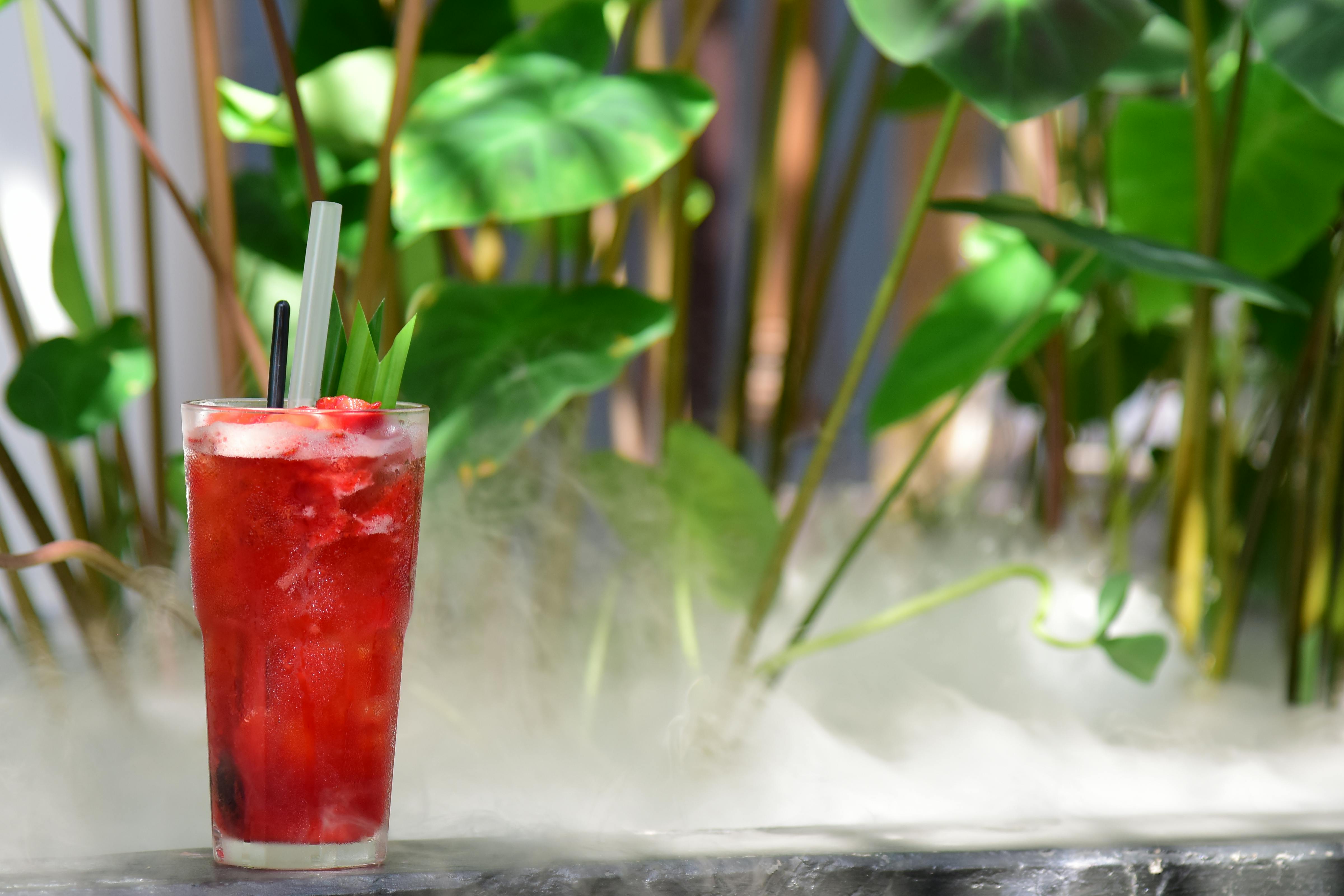 Review - ‘Star Wars: Galactic Drinks’ Serves Up Easy-to-Follow Recipes for Fans and Aspiring Mixologists — Photo by Sóc Năng 