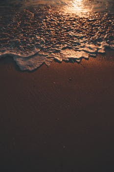 金色的日落光芒映照在海浪与沙滩上，营造出宁静的海滨景象