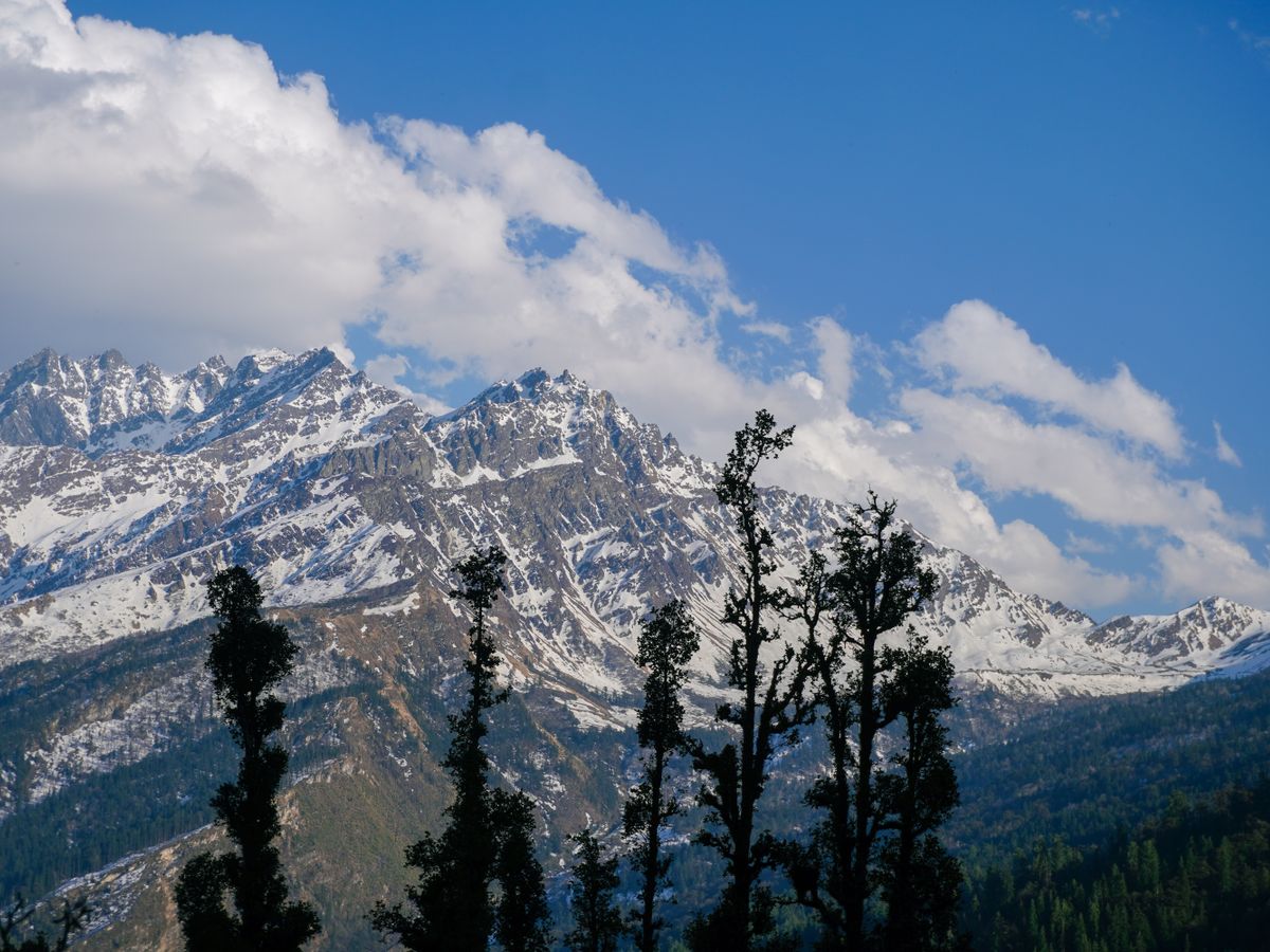 20 Day 300 HR Multi-Style Hatha, Asthanga & Yin TTC in India 2