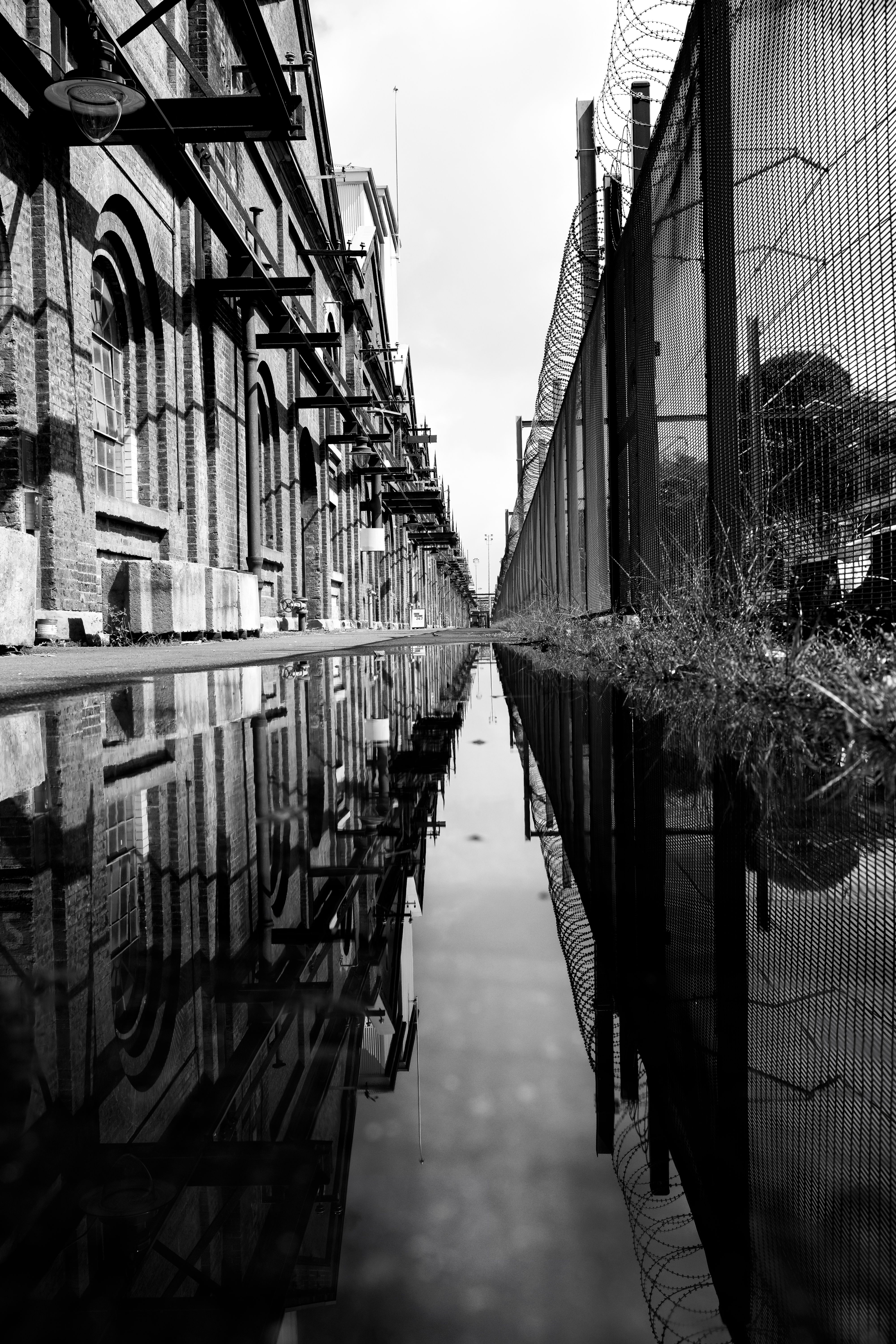 Urban Reflections in Black and White · Free Stock Photo
