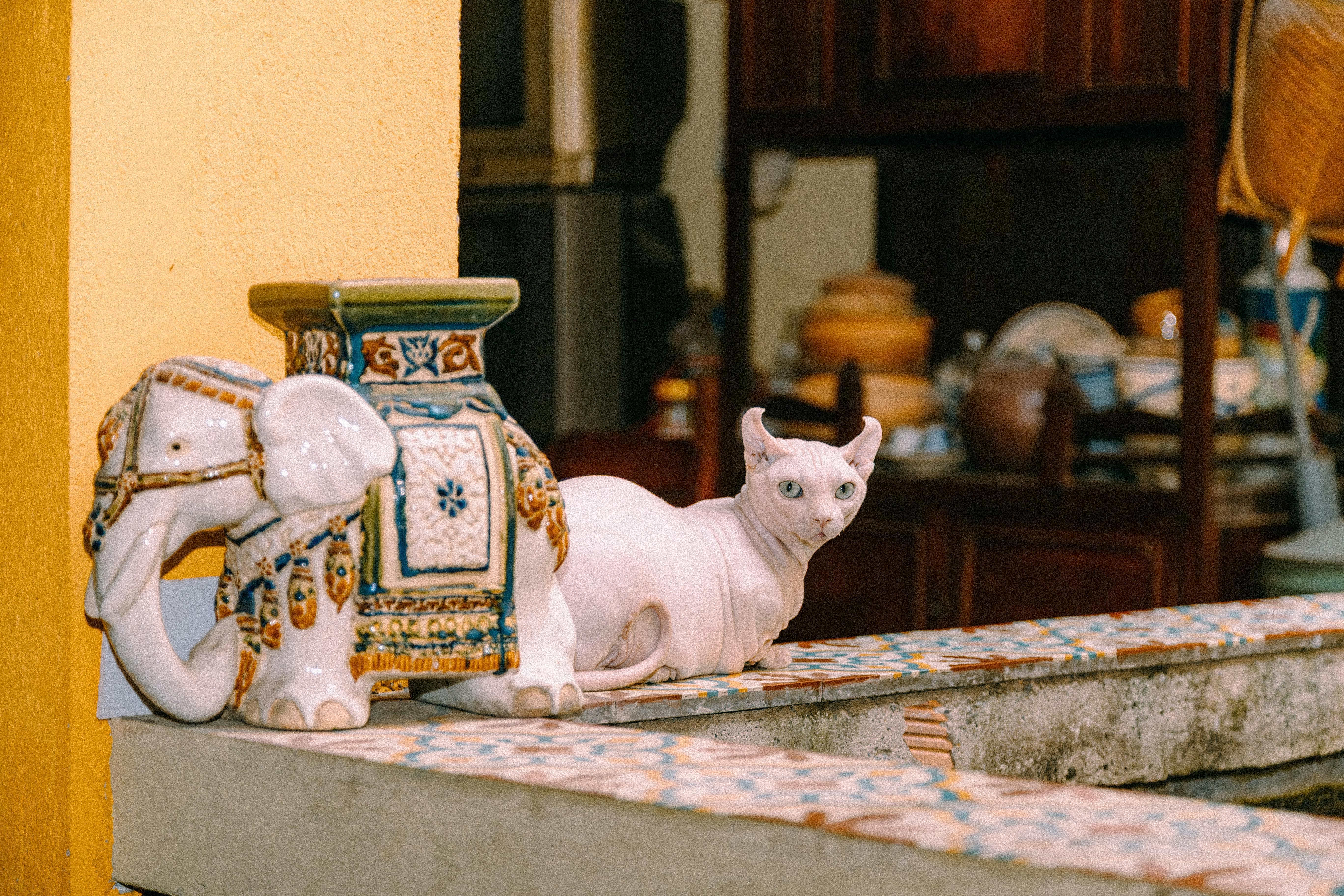 Ancient Palaces, a Cat Café, and KPop Demon Hunters—the Perfect Family Travel Itinerary for South Korea — Photo by Bảo Minh o