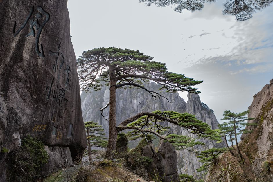 Huangshan Yellow Mountain Visit — Photography