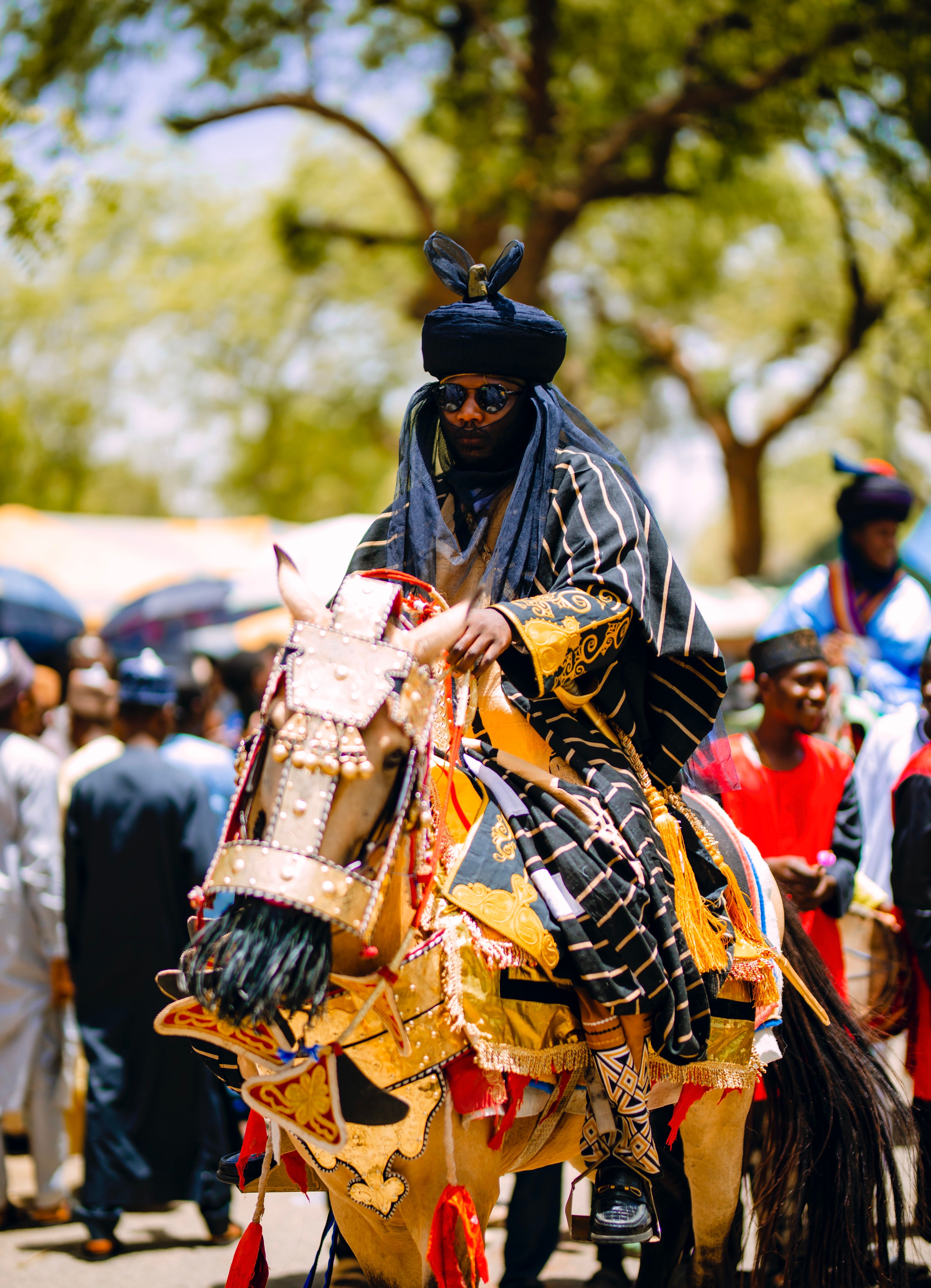 Traditional Festival with Decorated Horse and Rider · Free Stock Photo