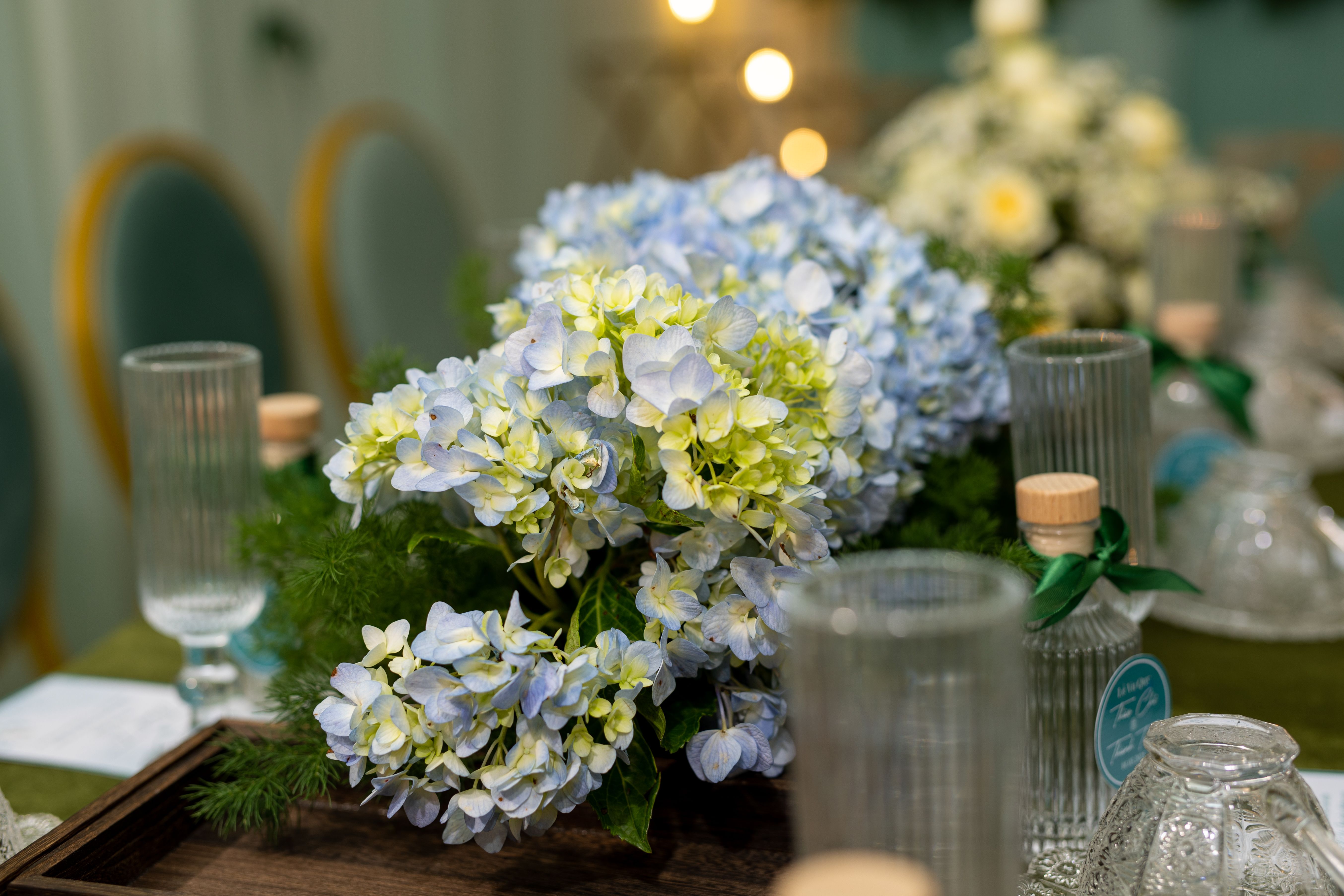 Elegantes Wann Bluhen Hortensien Bild