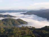 宁静的山景中，云层层叠在森林覆盖的山坡上