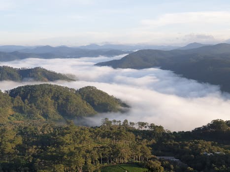 宁静的山景中，云层层叠在森林覆盖的山坡上