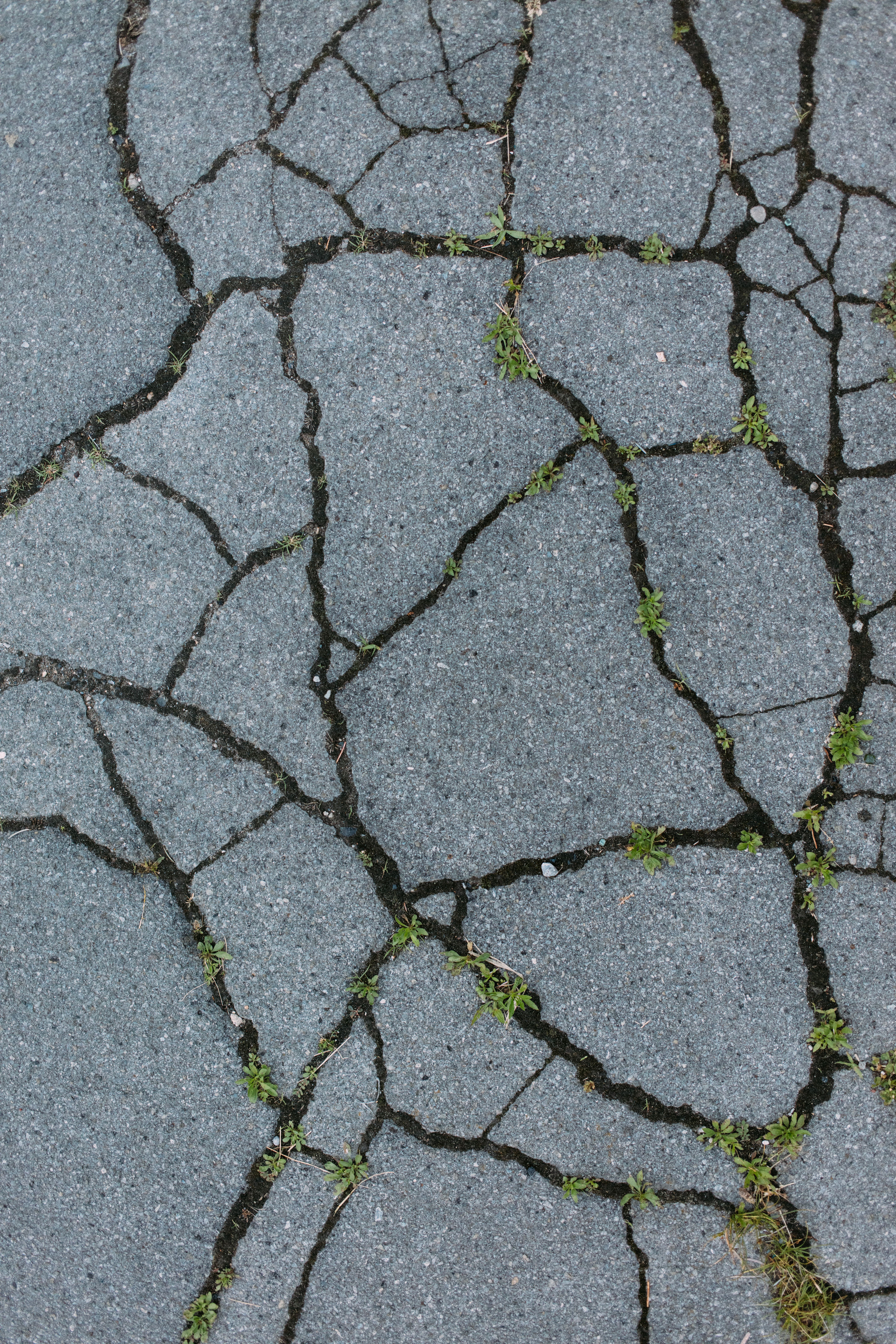 Cracked Urban Pavement in Detroit · Free Stock Photo