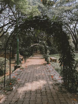 Serene walkway under lush foliage in Bengaluru's Cubbon Park, India.
