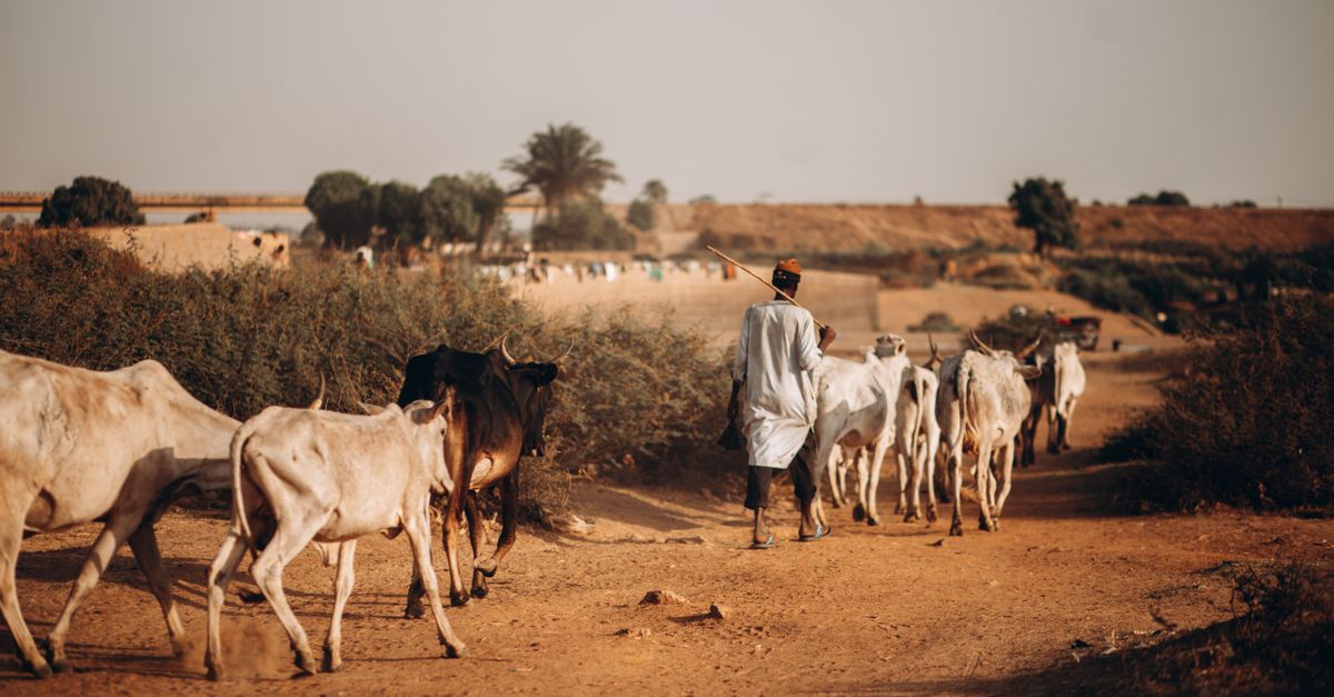 Photo of Niger