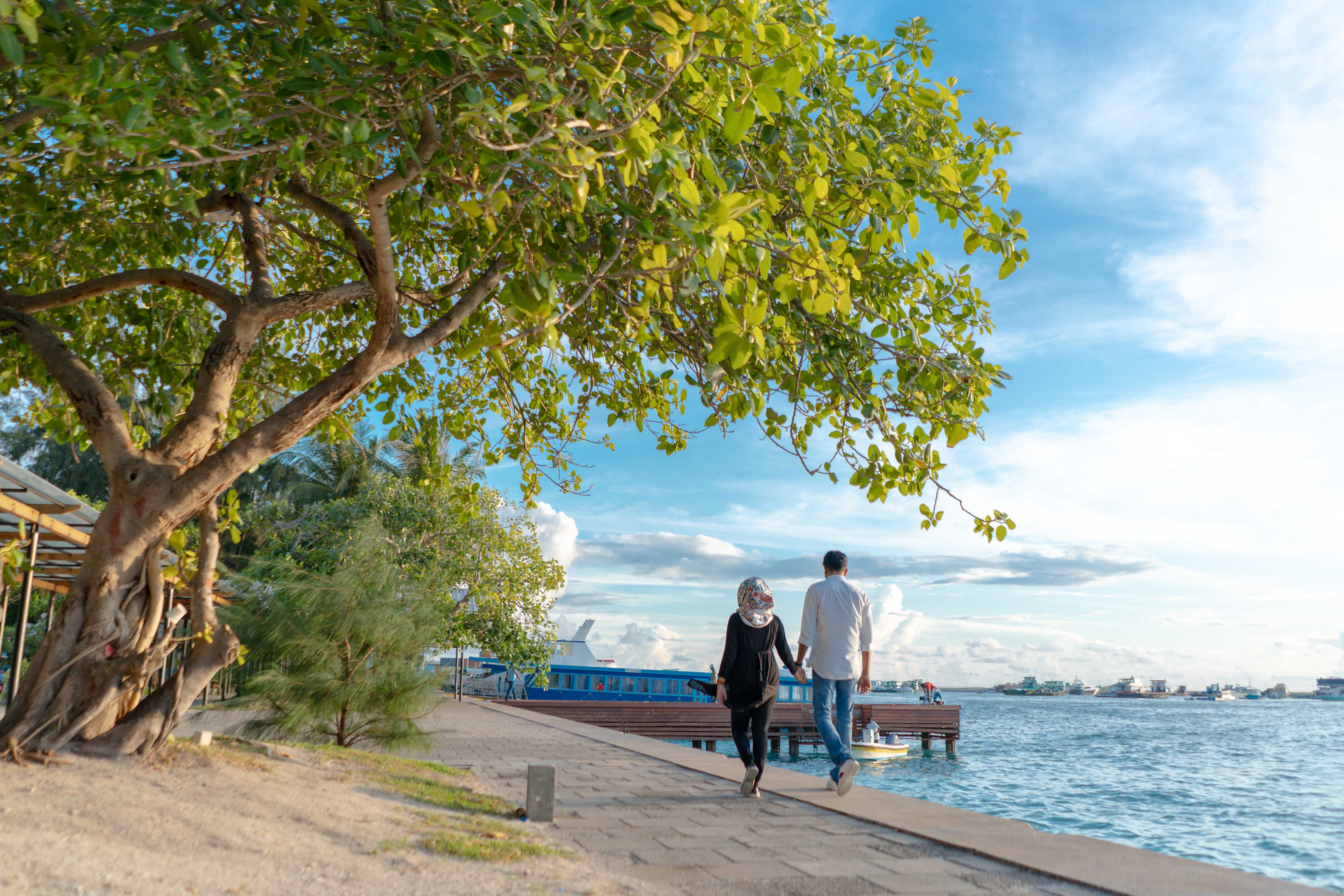 Couple holding hands, walking by the ocean under a tree, enjoying a sunny summer day.