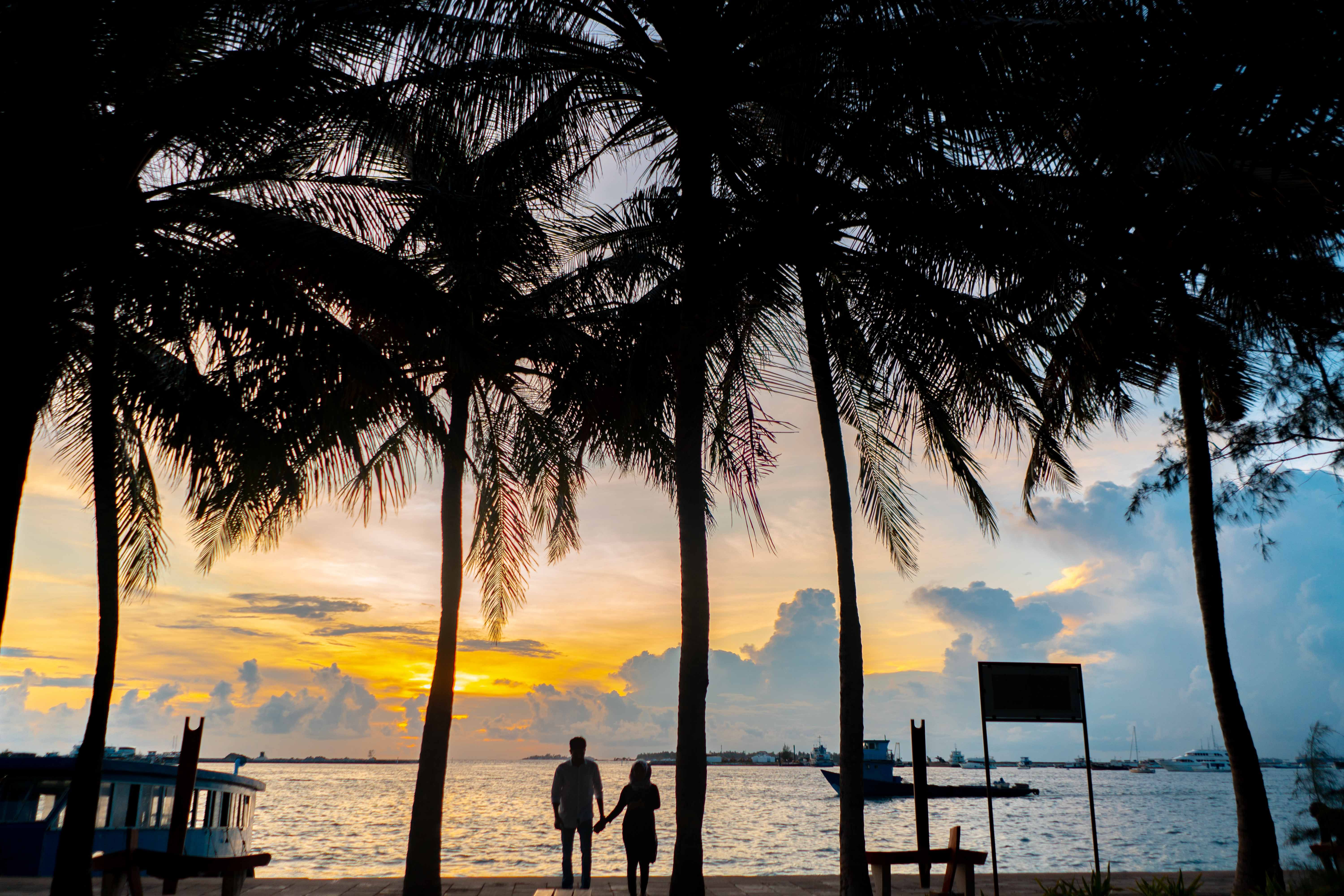 Silhouette of a father and child walking under palm trees at sunset by the ocean.