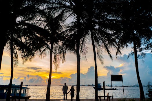 Silhouette of a father and child walking under palm trees at sunset by the ocean.