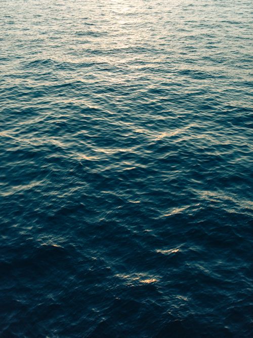 Free Peaceful ocean surface reflecting sunset light, offering tranquility and serenity. Stock Photo