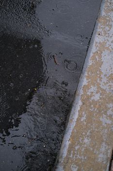 Raindrops form ripples on a wet street edge, showcasing a moment of urban rainfall.
