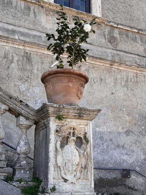 Free Terracotta pot with plant on a historic stone staircase in Tivoli, Italy. Elegant architectural details and classical design. Stock Photo