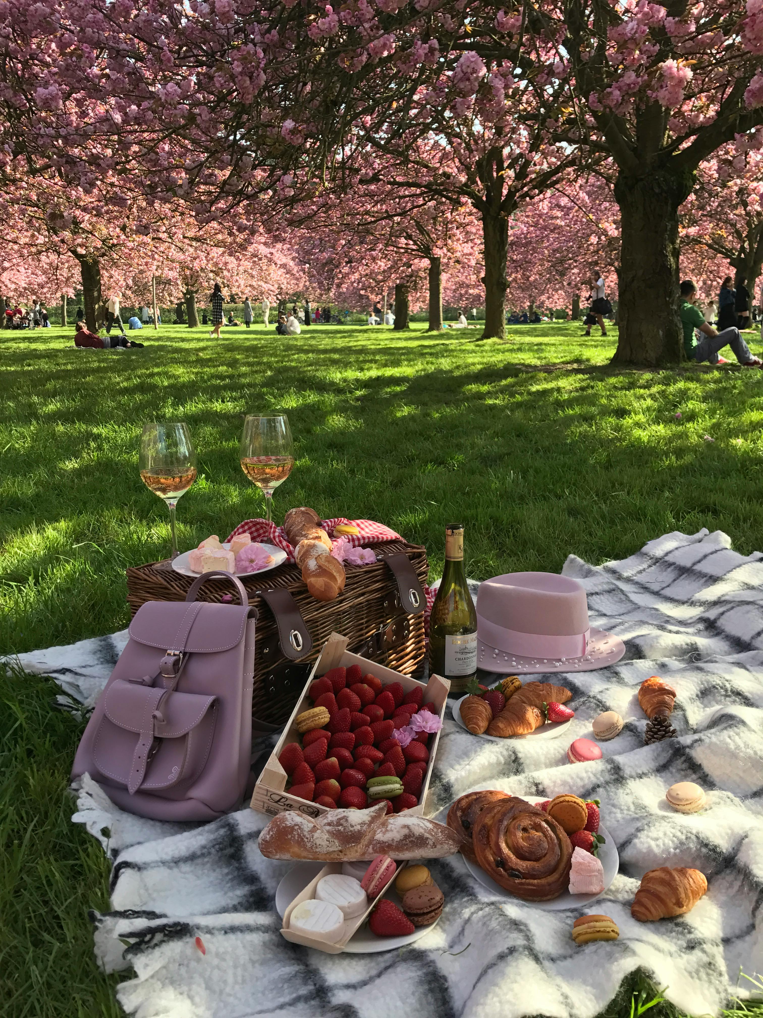 Charming spring picnic with wine, pastries, and cherry blossoms in full bloom.