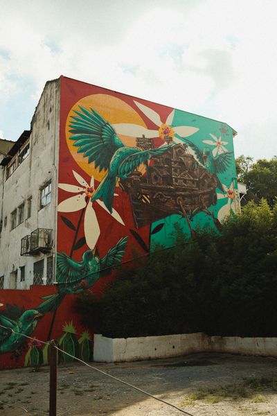 Mural colorat cu păsări și flori pe zidul unei clădiri