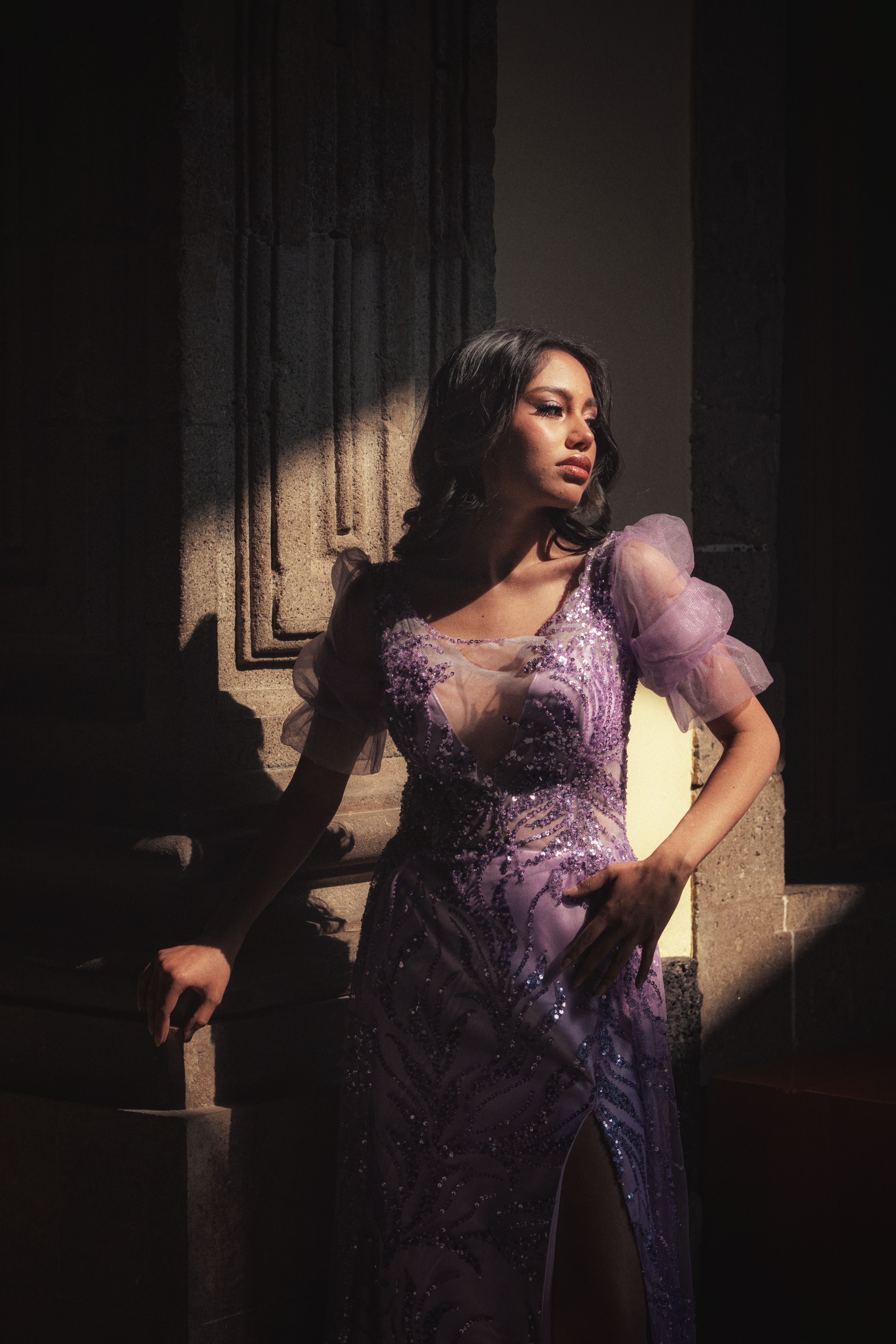 Elegant Woman in Purple Dress in Dramatic Lighting · Free Stock Photo