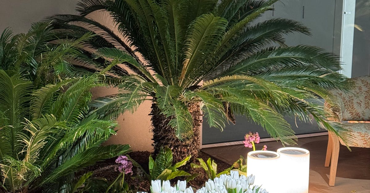 A cozy indoor setting featuring tropical palm plants and white tulips on a patterned tablecloth.