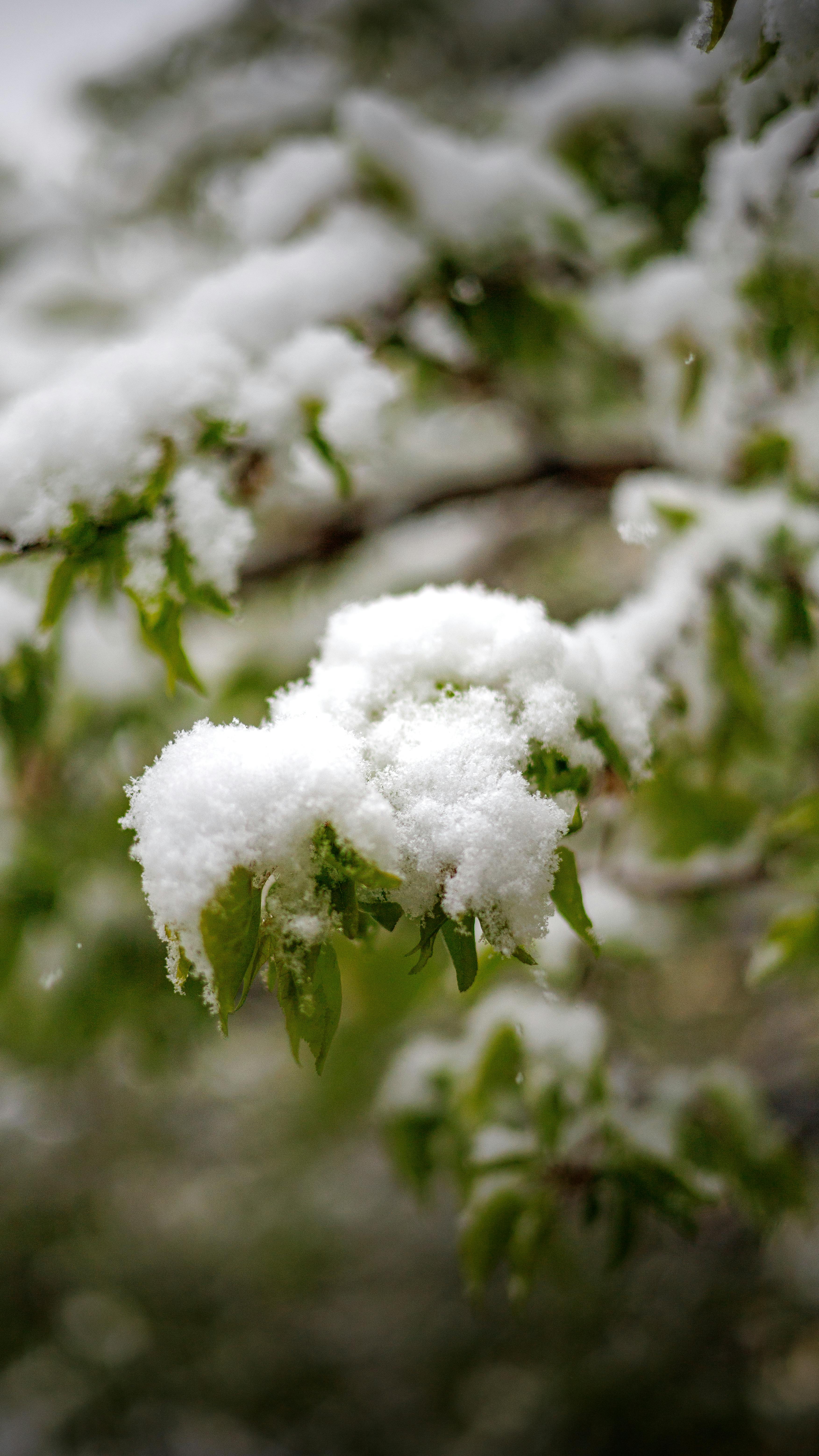 England May Snow Forecast: What to Expect This Winter? 3 5 Surprising Facts About England’s May Snow Forecast: Prepare for the Unexpected Weather
