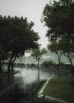 Serene rainy day view of an urban street lined with lush trees and wet pavement.